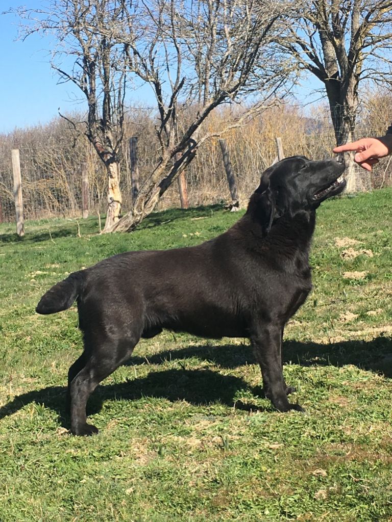 Night De sandie landes