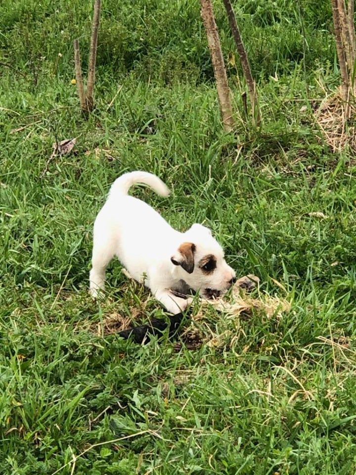 Rita De La Terrible Menée