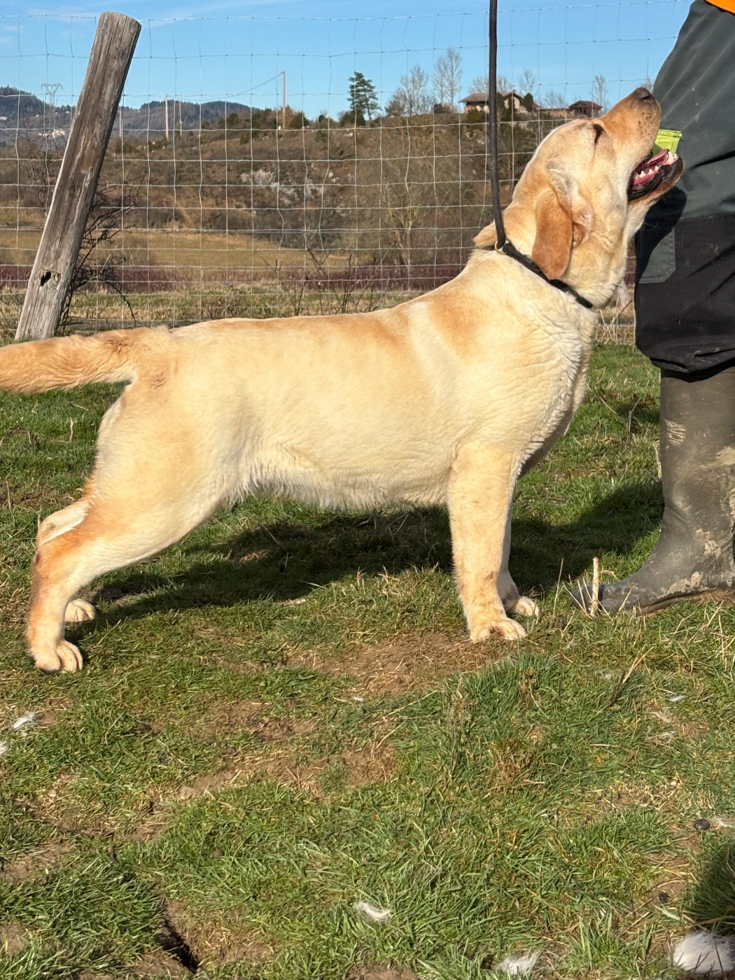 Vanille De sandie landes