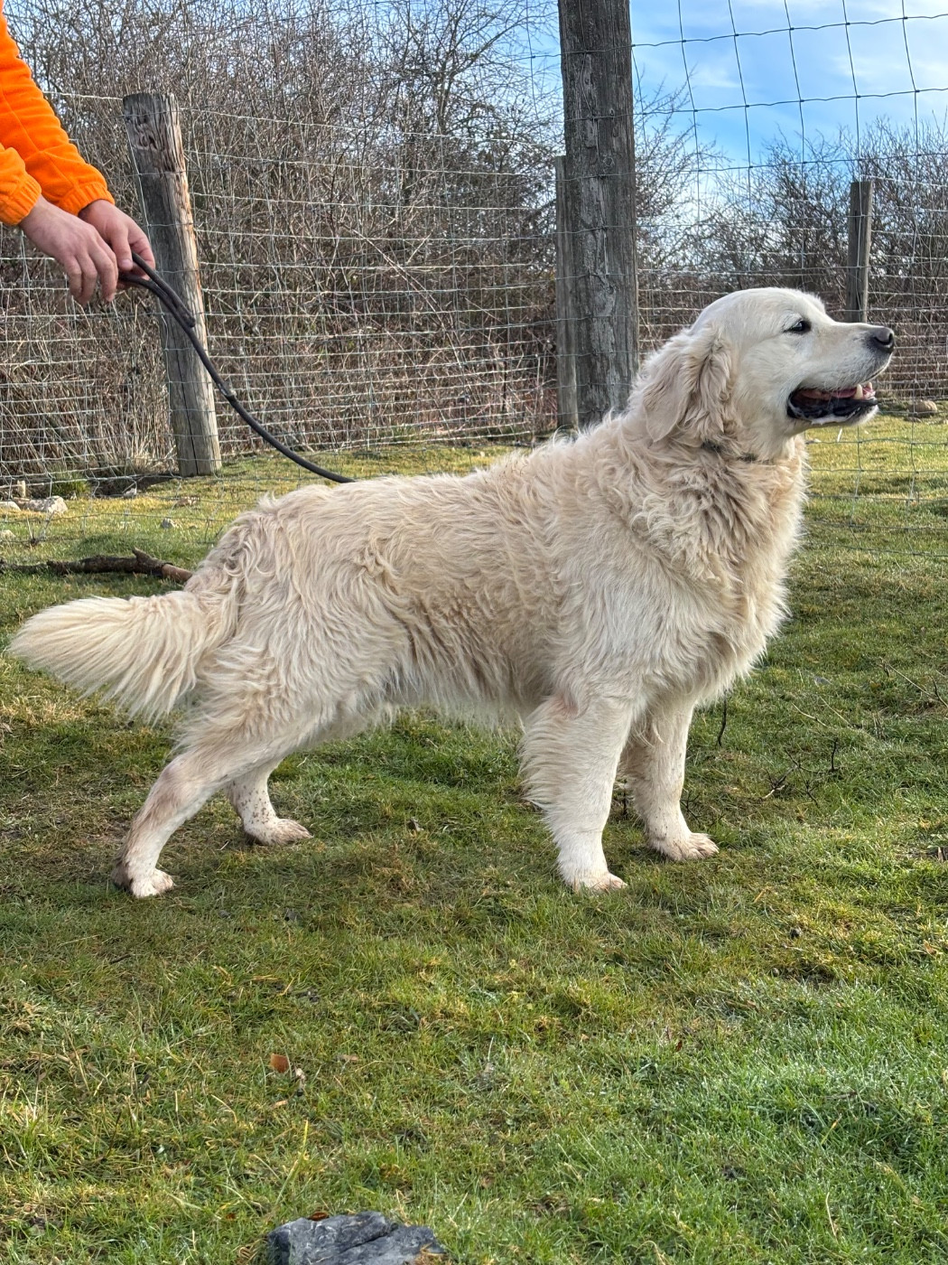 Sam of three love angel